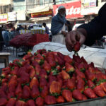 A Vendor arranging and displaying Strawberries to attract customers on First Day of Holy Month of Ramadan.