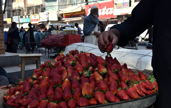 A Vendor arranging and displaying Strawberries to attract customers on First Day of Holy Month of Ramadan.