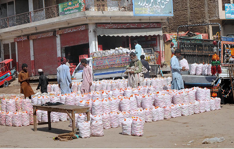 Labourers off-loading tomato bags from the delivery truck at a vegetable market.