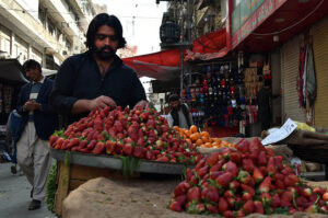 A Vendor arranging and displaying Strawberries to attract customers on First Day of Holy Month of Ramadan.