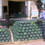 Shopkeeper displaying watermelon to attract customers at Fruit market