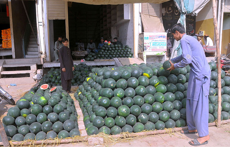 Shopkeeper displaying watermelon to attract customers at Fruit market