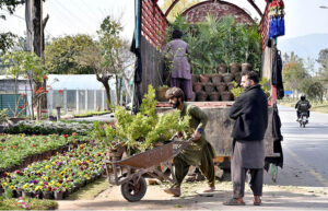 Workers off-loading plants to display at a local nursery in Federal Capital.