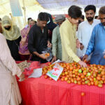 People purchasing vegetables from Ramzan Bachat Bazar organized by local government during Holy month of Ramadan at Shaheed-E-Millat Park
