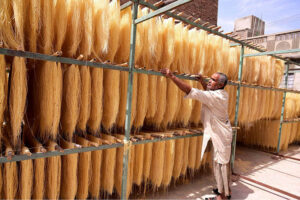 A worker busy hanging sawaiyan (vermicelli) for drying purpose in the sunlight at local factory.