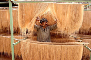 A worker busy hanging sawaiyan (vermicelli) for drying purpose in the sunlight at local factory.