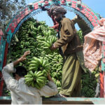 Laborers are busy unloading bunches of bananas from a delivery truck at Fruit market
