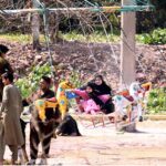 Children enjoy swing in a local park at Kuri Road