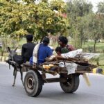 Gypsy family carrying Dry Branches for domestic Use on donkey cart in the Federal Capital