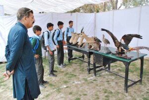 School students look at the stall of animal figurines set by Sher Bagh Museum Zoo on the second day of the Annual Celebration of Spring Flower Competition.