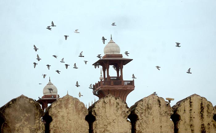 A beautiful view of birds flying over at Badshahi Masjid.