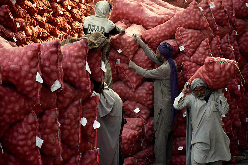 Labourers loading potatoes filled sacks from delivery vehicles at Vegetable Market in Provincial Capital