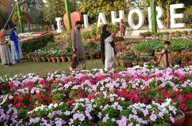 A beautiful view of spring flowers show organized by the PHA at Jilani Park.