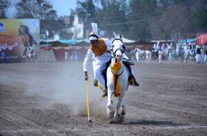 A rider in action during Tent Pegging Championship organized by University of Agriculture Faisalabad (UAF) at its Sports Ground in connection of Spring Festival celebrations