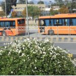 A view of metro buses on its way in the Federal Capital