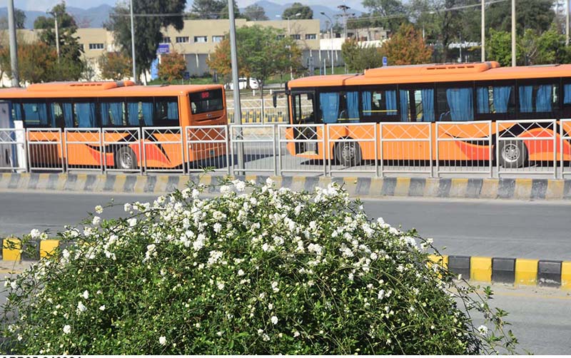 A view of metro buses on its way in the Federal Capital
