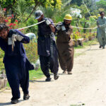 WAPDA workers busy dragging electricity cable to install on electric pole at Autobahn Road