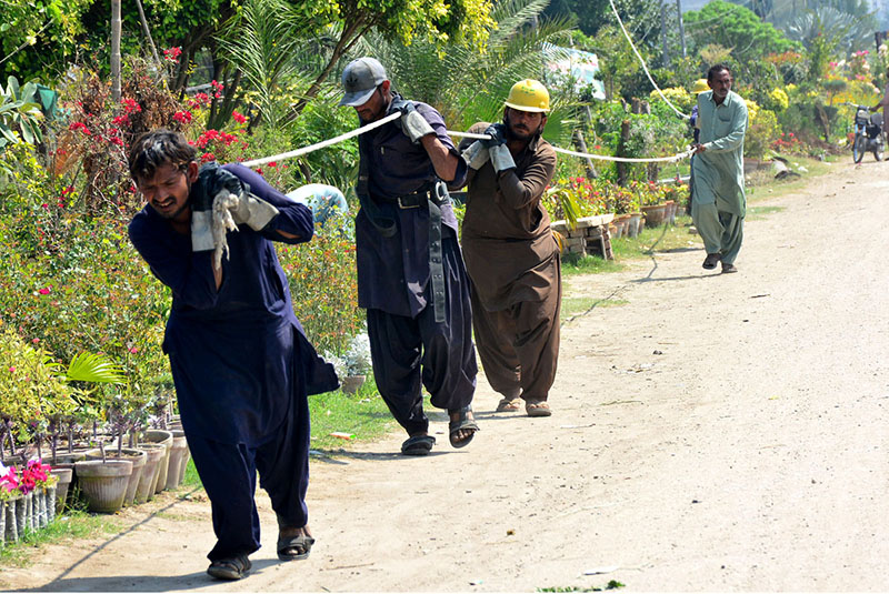 WAPDA workers busy dragging electricity cable to install on electric pole at Autobahn Road