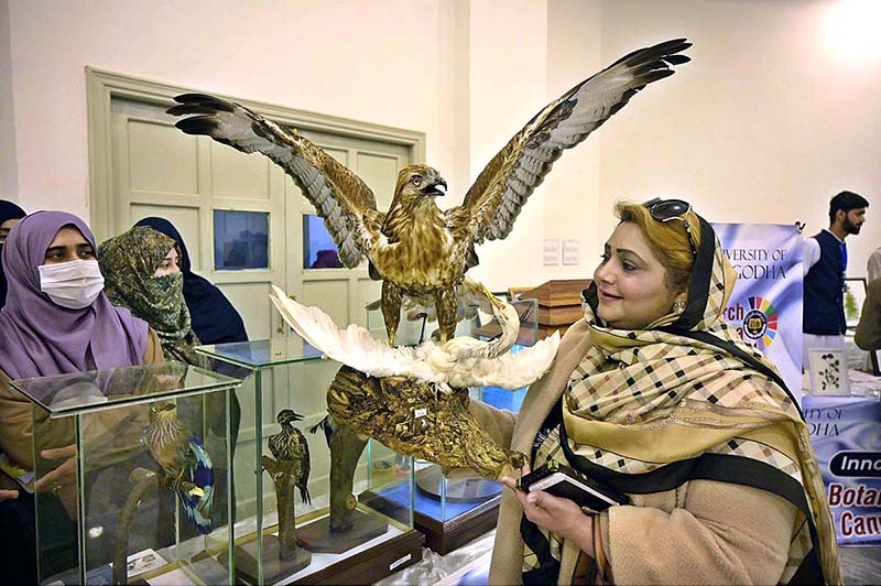 Vice Chancellor University of Sargodha Prof. Dr. Qaisar Abbas visiting different stalls during Research Arena Exhibition held at University of Sargodha