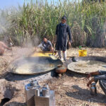 Farmers preparing the traditional sweetener jagri (GURR) to earn livelihood besides their domestic consumption