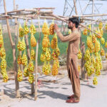 A vendor displaying seasonal fruit (Bair) to attract customers at his roadside setup