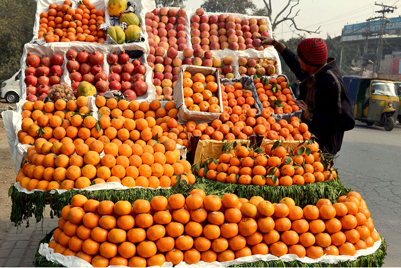 A vendor displaying fruits to attract the customers at his setup in the Provincial Capital