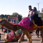 Family enjoy camel ride at Race Course Park