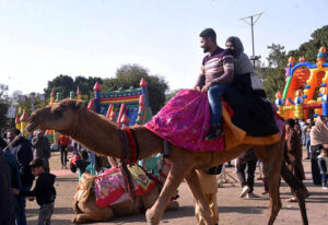 Family enjoy camel ride at Race Course Park