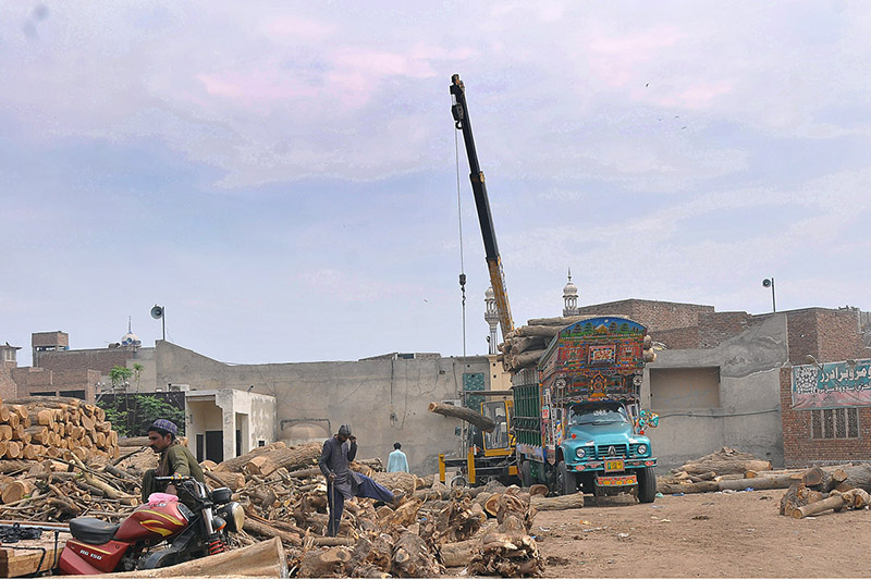 Laborers are busy loading heavy wooden pieces on truck with the help of a crane at Timber Market