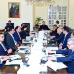 Prime Minister Muhammad Shehbaz Sharif chairs a meeting regarding petroleum sector