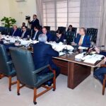 Prime Minister Muhammad Shehbaz Sharif chairs a meeting regarding petroleum sector
