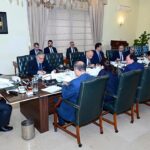 Prime Minister Muhammad Shehbaz Sharif chairs a meeting regarding petroleum sector