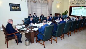 Prime Minister Muhammad Shehbaz Sharif chairs a meeting regarding petroleum sector