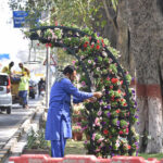 The PHA staff is engaged in the on the occasion of World Plant Day, models are being made from fresh flowers at Club Chowk Upper Mall