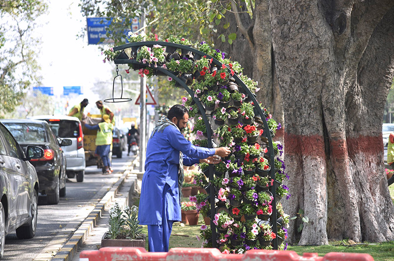 The PHA staff is engaged in the on the occasion of World Plant Day, models are being made from fresh flowers at Club Chowk Upper Mall
