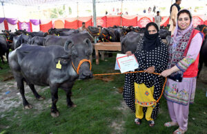 Additional Director Pakistan Red Crescent Society Ms. Asima Naseem distributing handover buffaloes certificates to flood-affected families of deserving households with the collaboration of the IFRC during a ceremony at Municipal Stadium, organized by Pakistan Red Crescent Society