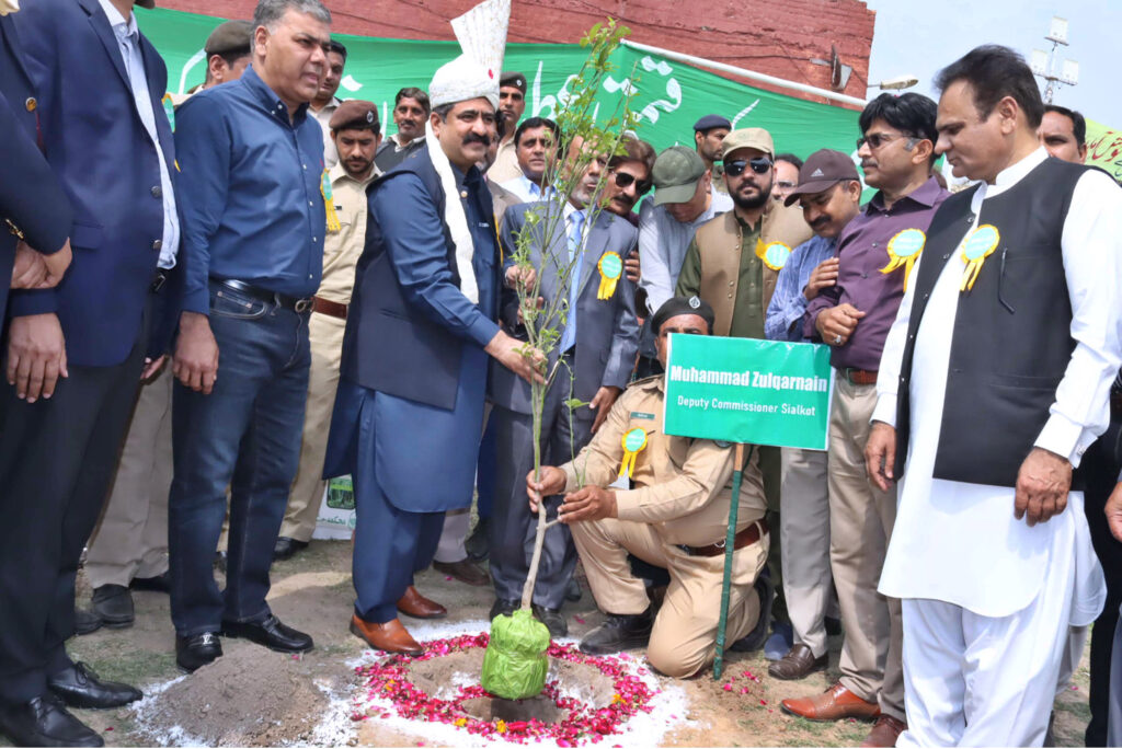Deputy Commissioner Sialkot Muhammad Zulqarnain, planting tree at Government Jinnah Islamia College