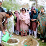 Secretary Forest Abdul Raouf Baloch planting a tree to launch Spring Tree Plantation Drive