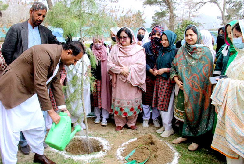 Secretary Forest Abdul Raouf Baloch planting a tree to launch Spring Tree Plantation Drive