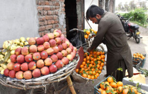 A street vendor is arranging and decorating fruit on his bicycle to attract customers' attention