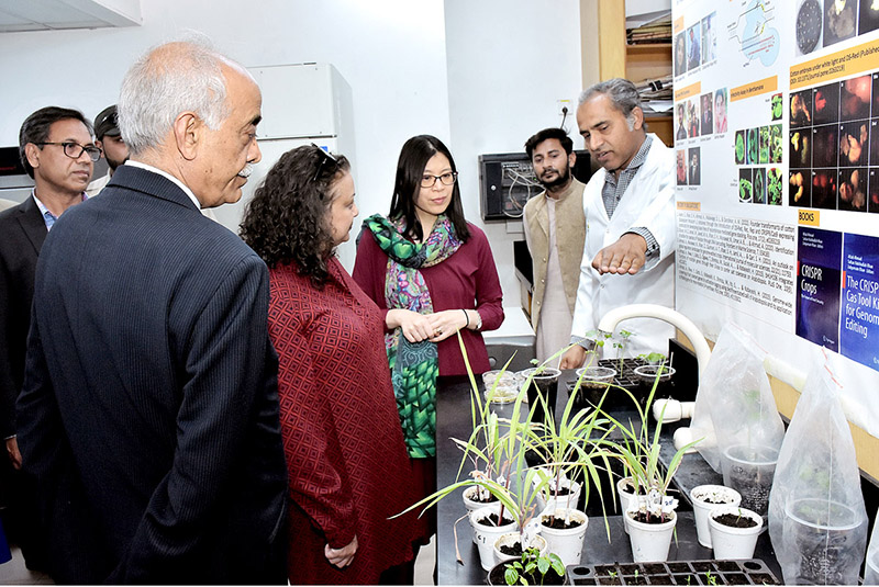 USAID Mission Director Veeraya Kate Somvongsiri and Director Office of Democracy, Rights and Governance Shally Prasad are visiting Food Security and different labs at University of Agriculture Faisalabad (UAF)