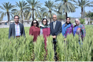USAID Mission Director Veeraya Kate Somvongsiri and Director Office of Democracy, Rights and Governance Shally Prasad are visiting Food Security and different labs at University of Agriculture Faisalabad (UAF)