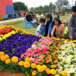 Families visiting flowers exhibition during the flowers show at Cantt Park