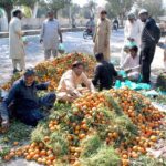 People purchasing oranges from vendor’s roadside stall