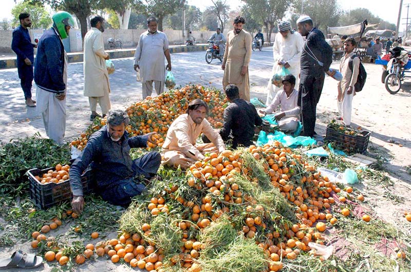 People purchasing oranges from vendor’s roadside stall