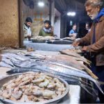 Vendor displaying fishes as demand increases at Fish Market