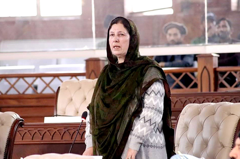 Minister Social Walfare Gilgit-Baltistan Dilshad Bano speaks during the 3rd sitting of 18th Session of Gilgit-Baltistan Assembly under the chair of Speaker Gilgit-Baltistan Assembly Nazir Ahmad Advocate