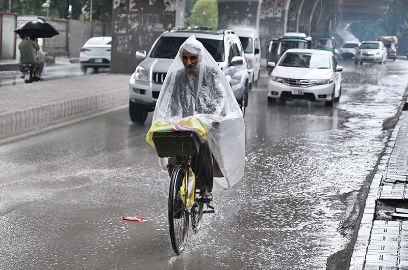 An aged man cover himself with polythene sheet to protect from rain on bicycle his way to home