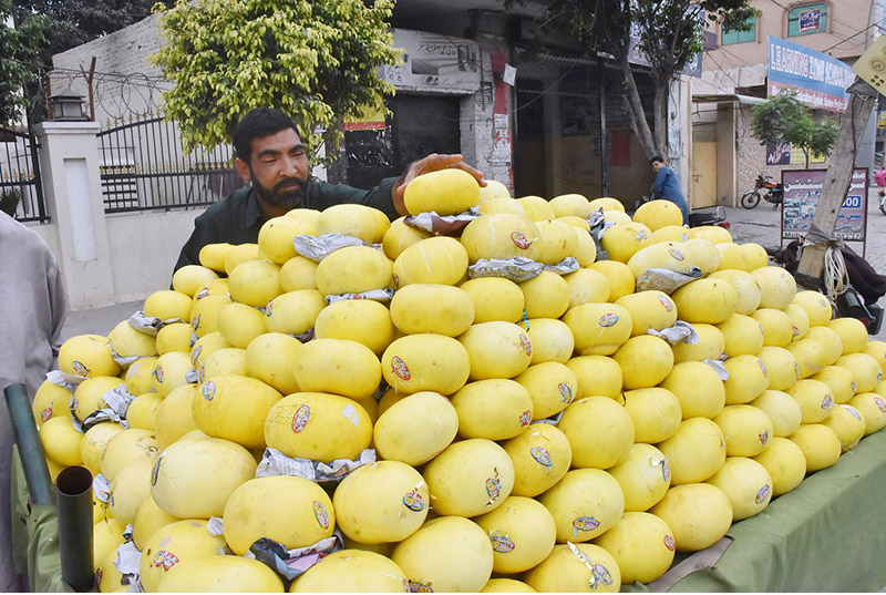 A vendor displays melons for the attention of customers