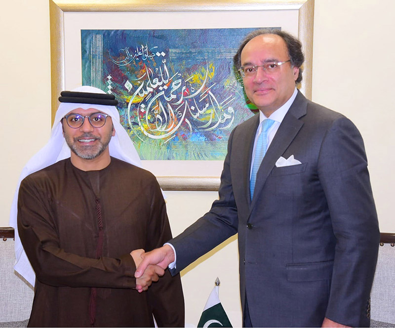 Federal Minister for Finance and Revenue, Muhammad Aurangzeb callson by Hamad Obaid Ibrahim Salim Alzaabi, Ambassador of the United Arab Emirates
